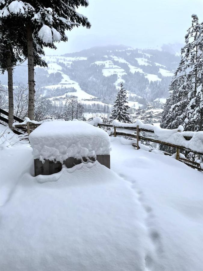 Schoenbacher Hof Villa Hopfgarten im Brixental Exterior photo